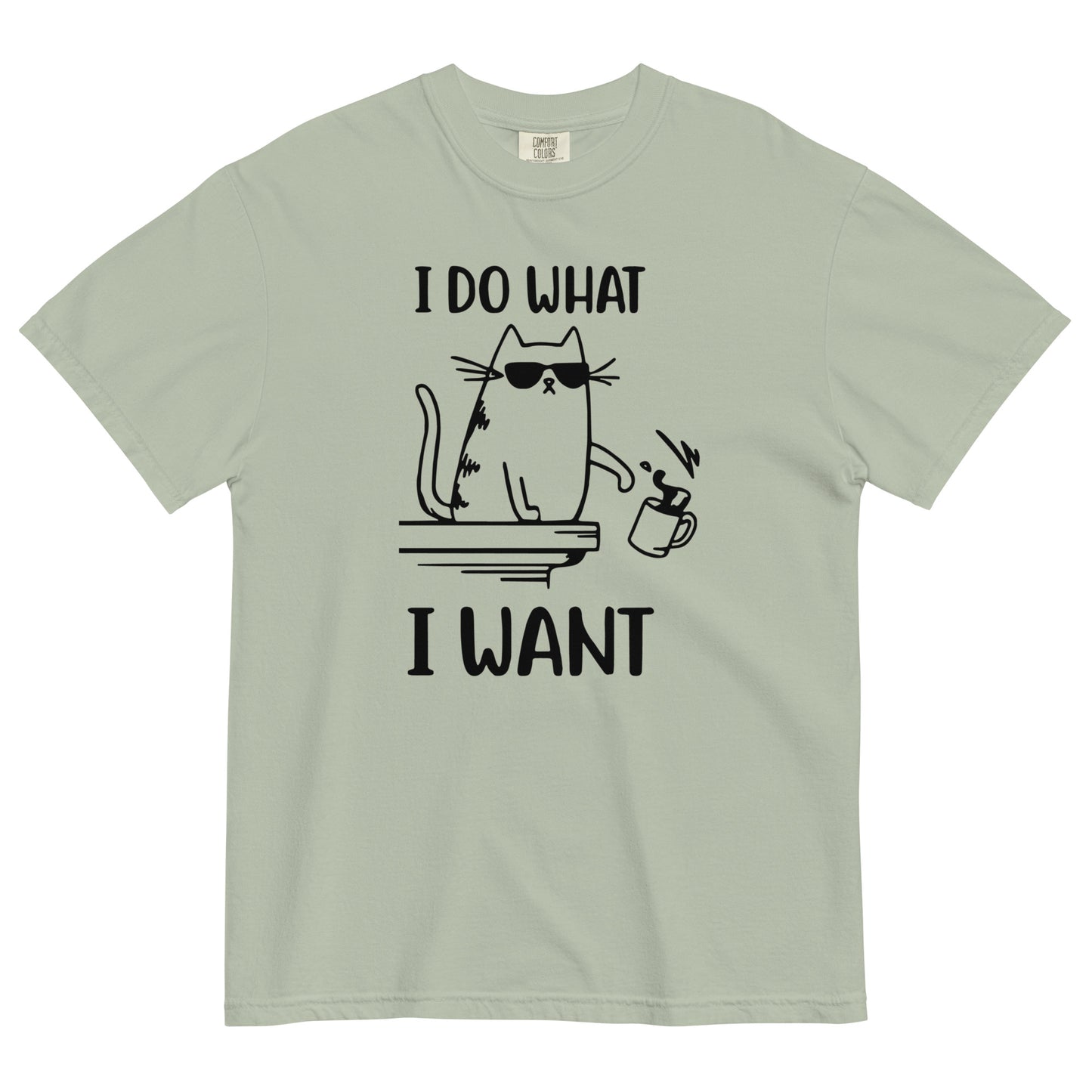 I Do What I Want Cat T-Shirt