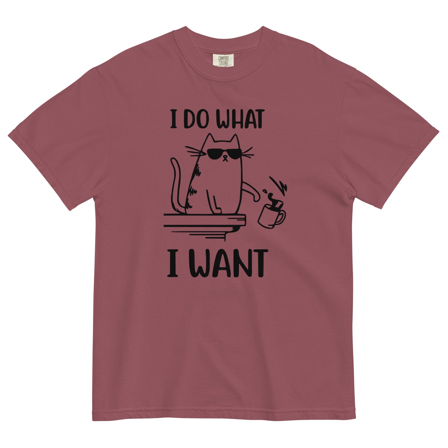 I Do What I Want Cat T-Shirt